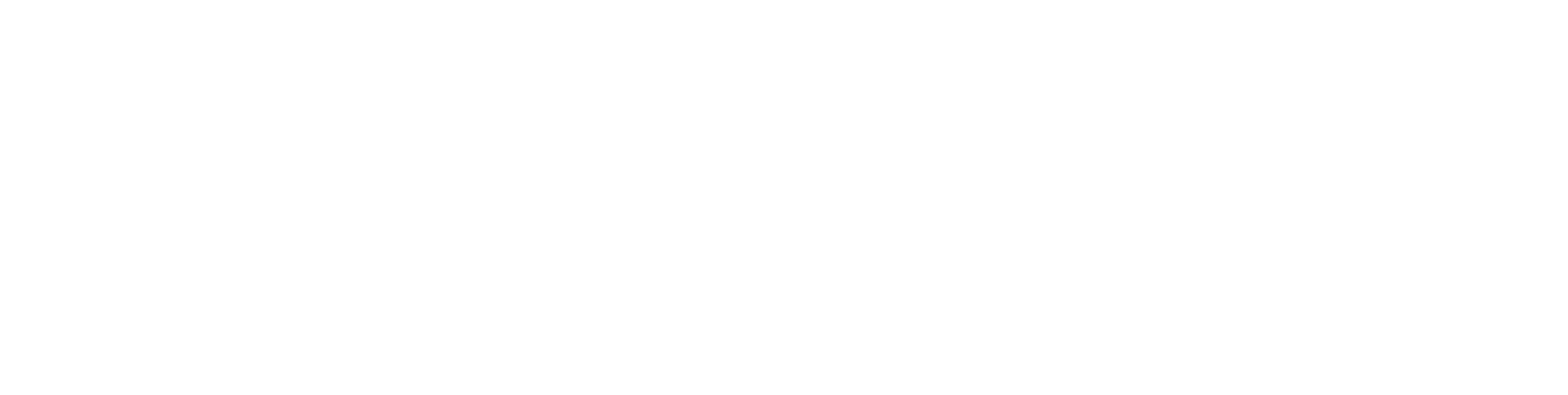 designbivouac